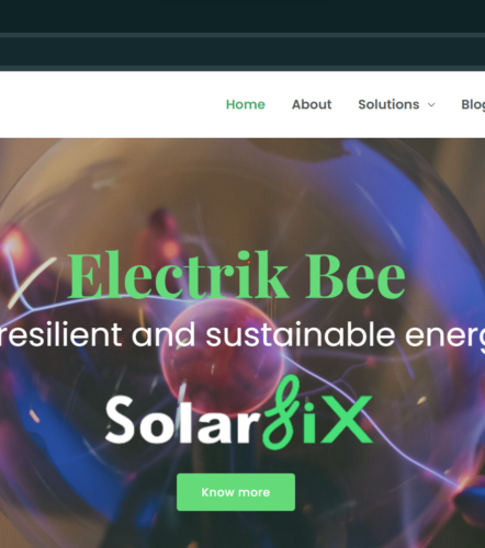 ElectrikBee website